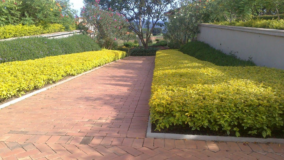 Gardening and Landscaping Services